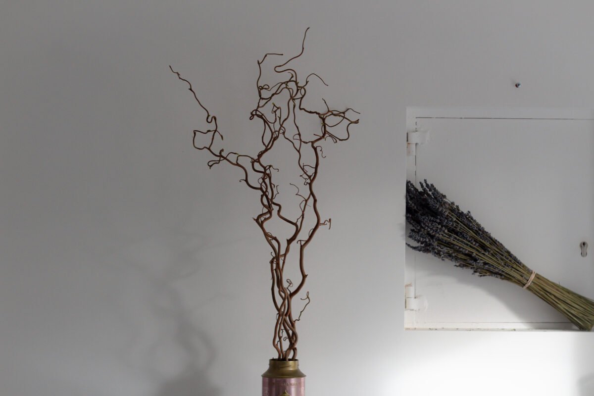 Set of 5 Hazel Branches - Image 8