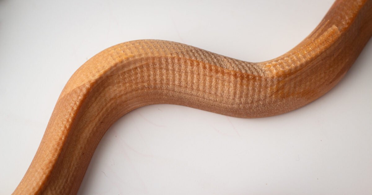 Decorative snake - Image 4