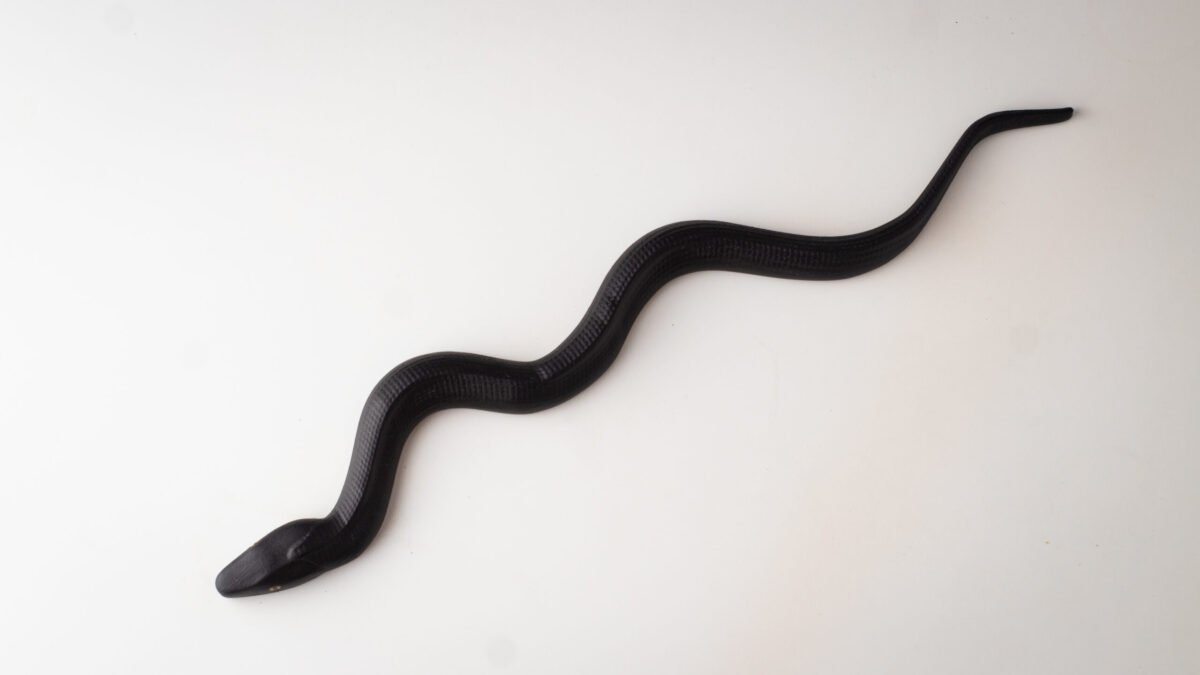 Decorative snake - Image 10