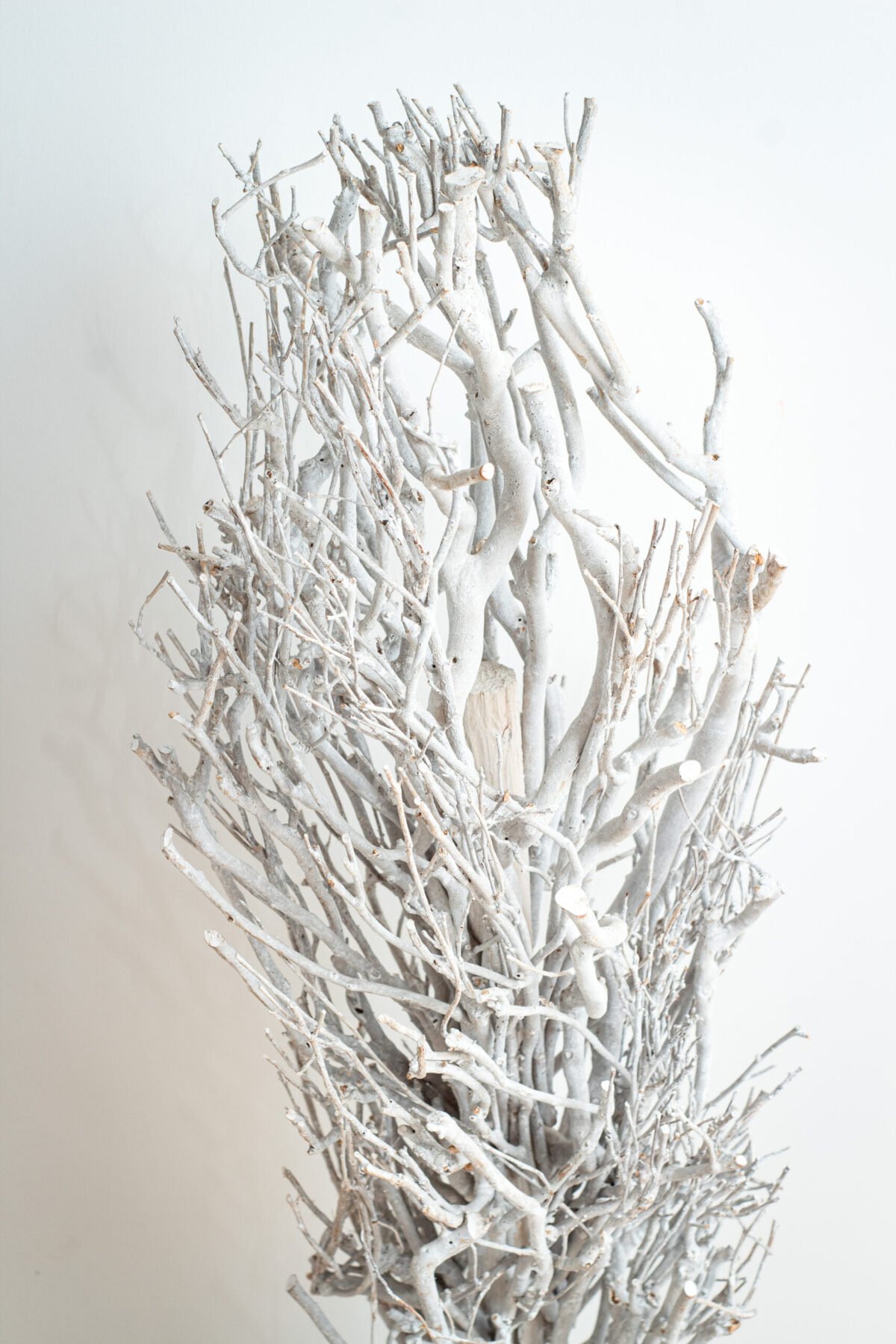 Tall White Branch Tree - Image 6