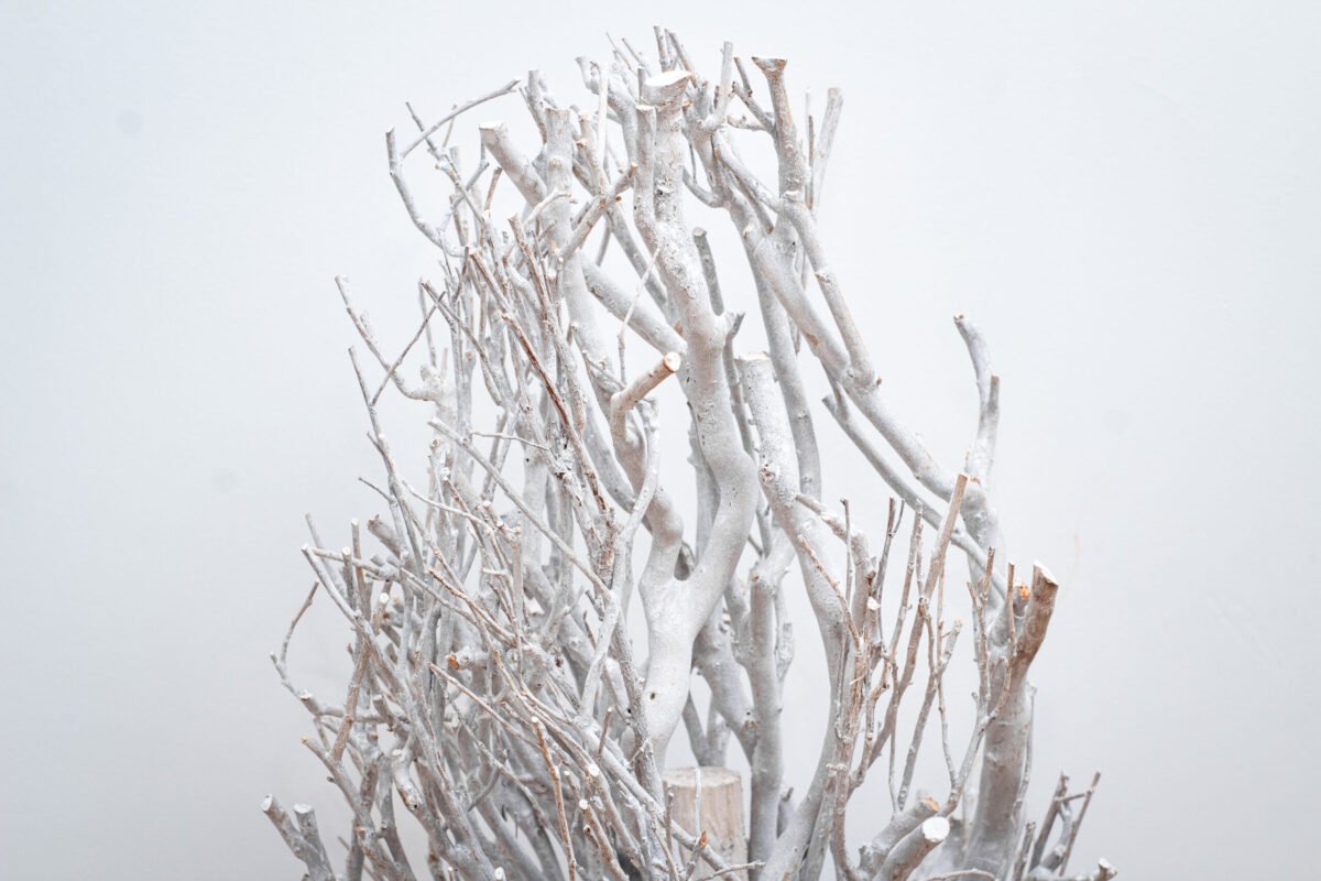 Tall White Branch Tree - Image 5