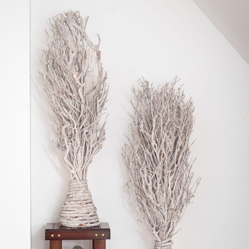 Tall White Branch Tree