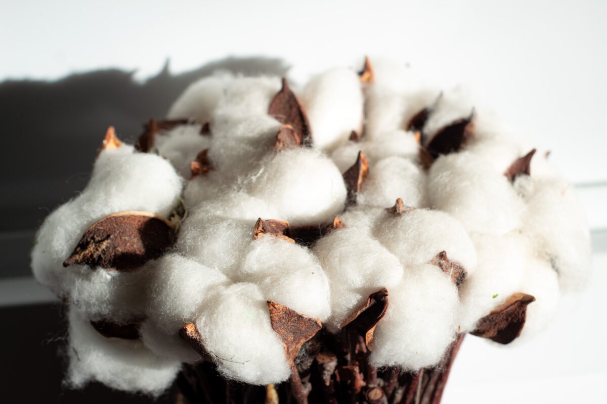 Cotton & Twig Bouquet - Image 8
