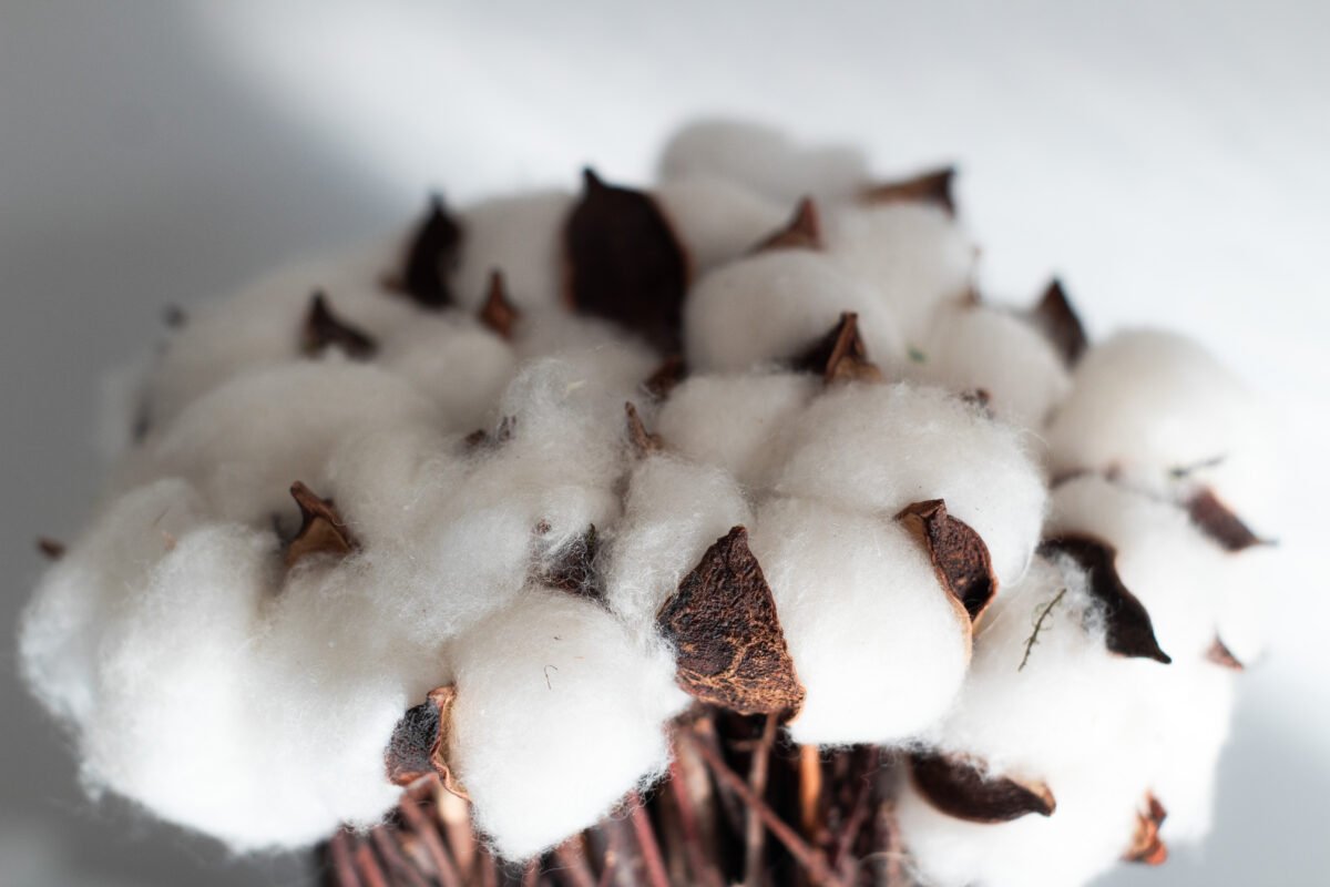 Cotton & Twig Bouquet - Image 5