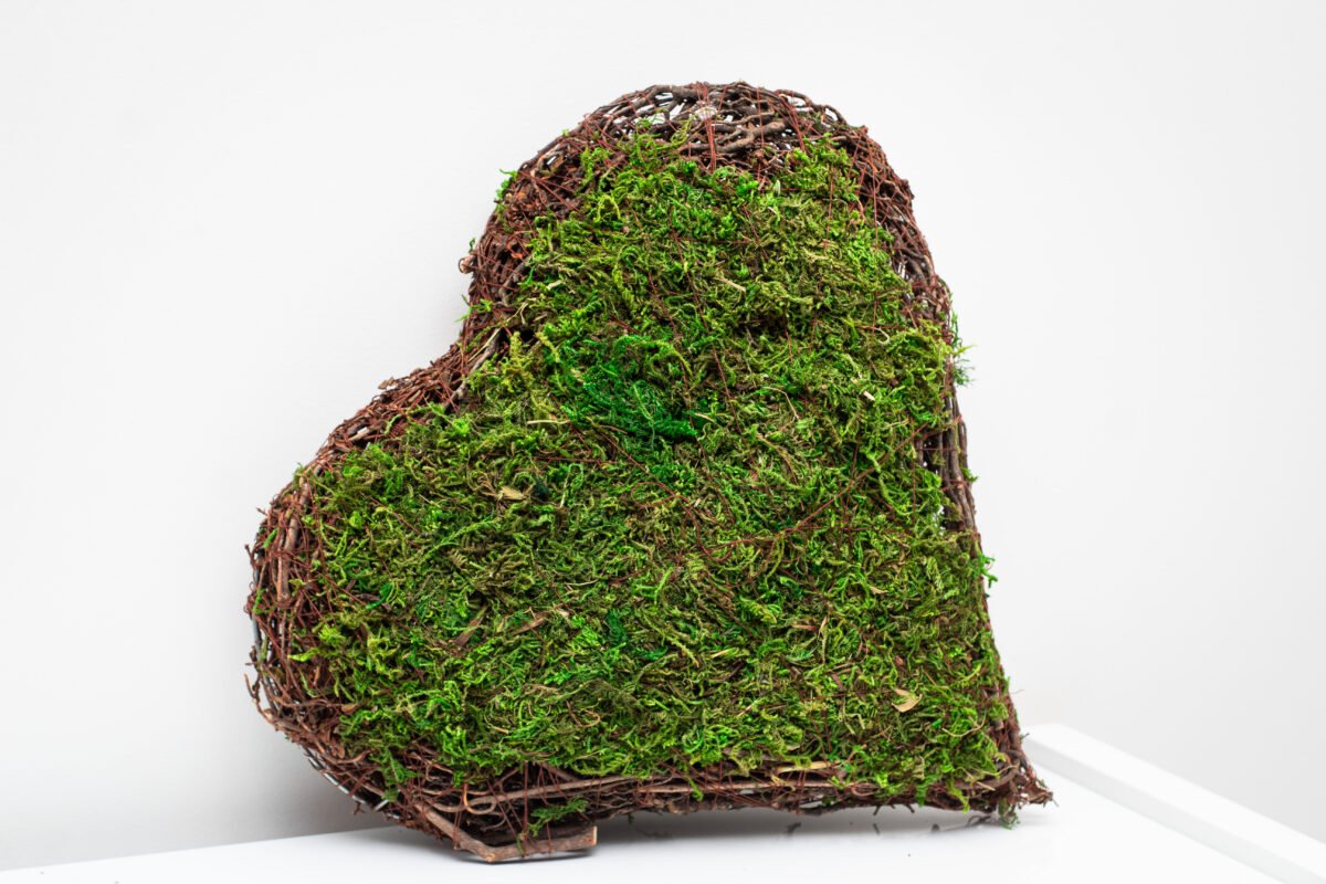 Moss & Twig Heart - Image 8