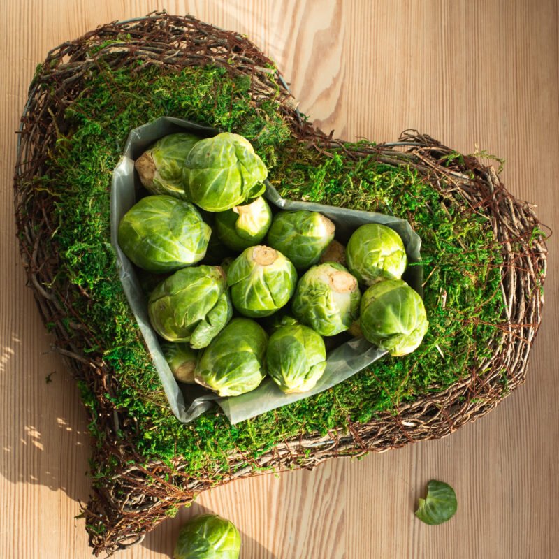 Moss & Twig Heart