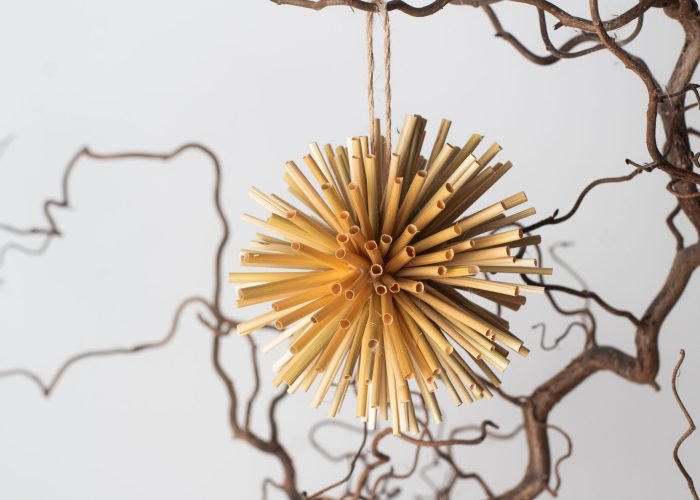 Spiky straw ornaments-1